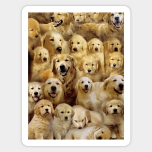 Golden Retrievers Sticker